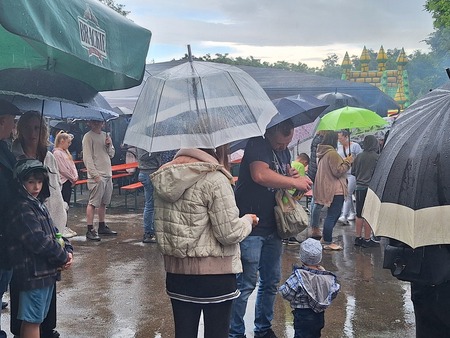  (kliknięcie spowoduje powiększenie obrazu)