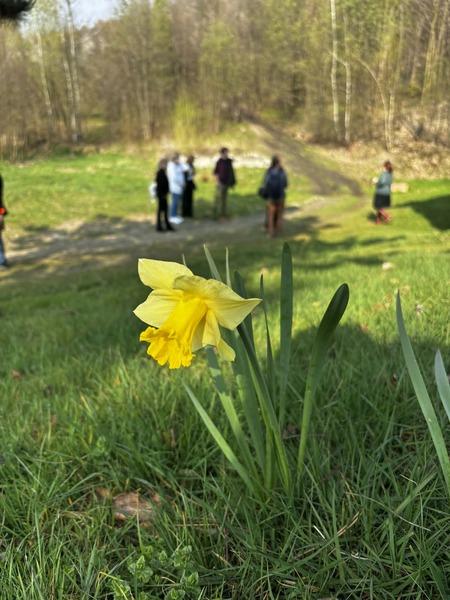  (kliknięcie spowoduje powiększenie obrazu)