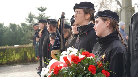  (kliknięcie spowoduje powiększenie obrazu)