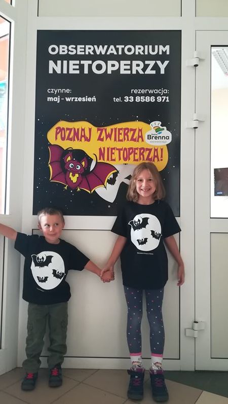  (kliknięcie spowoduje powiększenie obrazu)