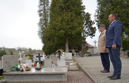 (kliknięcie spowoduje powiększenie obrazu)