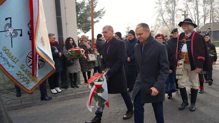  (kliknięcie spowoduje powiększenie obrazu)