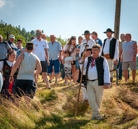  (kliknięcie spowoduje powiększenie obrazu)