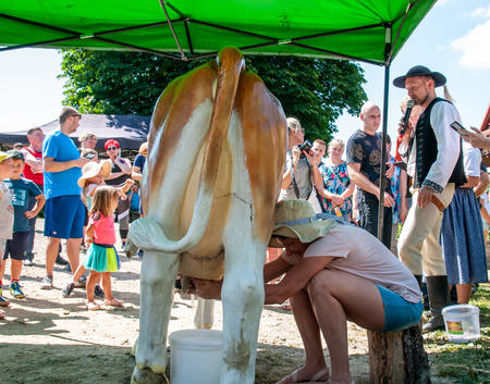  (kliknięcie spowoduje powiększenie obrazu)