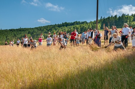  (kliknięcie spowoduje powiększenie obrazu)