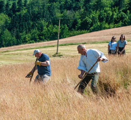  (kliknięcie spowoduje powiększenie obrazu)