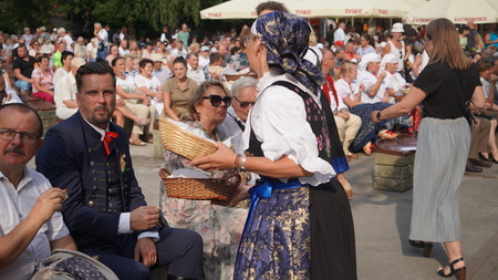  (kliknięcie spowoduje powiększenie obrazu)