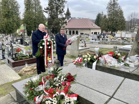  (kliknięcie spowoduje powiększenie obrazu)