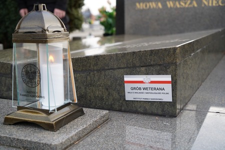  (kliknięcie spowoduje powiększenie obrazu)