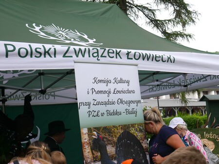 (kliknięcie spowoduje powiększenie obrazu)