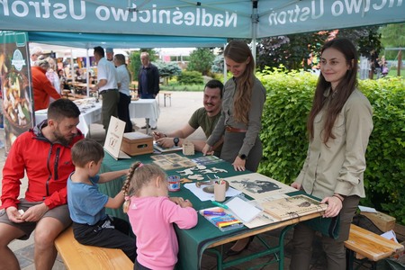  (kliknięcie spowoduje powiększenie obrazu)