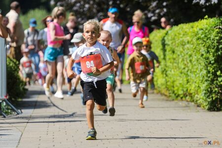  (kliknięcie spowoduje powiększenie obrazu)