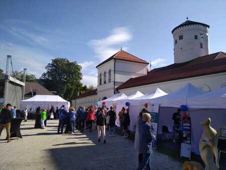  (kliknięcie spowoduje powiększenie obrazu)