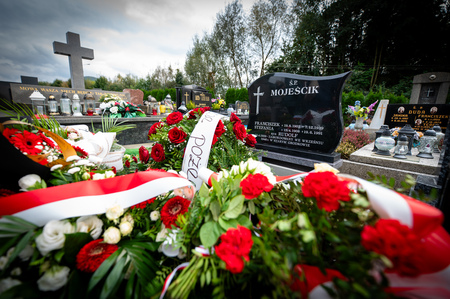  (kliknięcie spowoduje powiększenie obrazu)