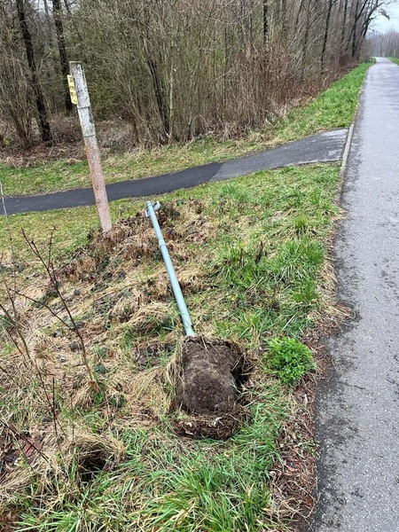 (kliknięcie spowoduje powiększenie obrazu)