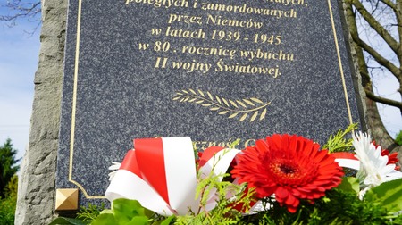  (kliknięcie spowoduje powiększenie obrazu)
