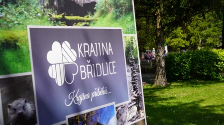  (kliknięcie spowoduje powiększenie obrazu)