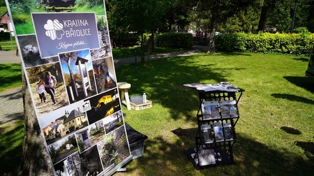  (kliknięcie spowoduje powiększenie obrazu)