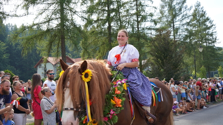  (kliknięcie spowoduje powiększenie obrazu)