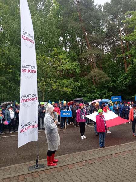  (kliknięcie spowoduje powiększenie obrazu)