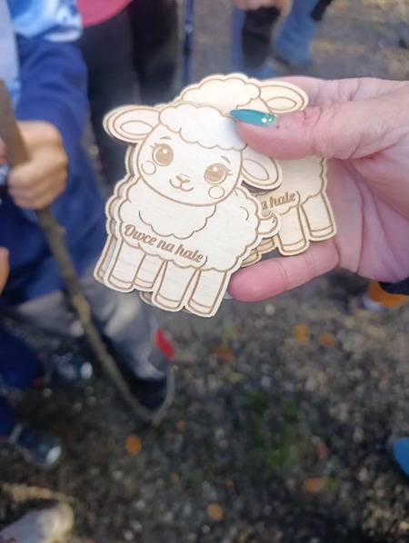  (kliknięcie spowoduje powiększenie obrazu)