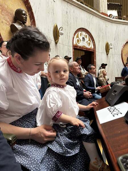  (kliknięcie spowoduje powiększenie obrazu)