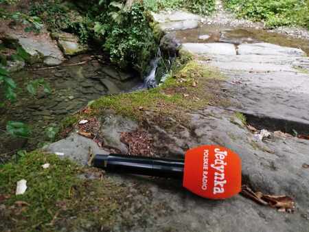 (kliknięcie spowoduje powiększenie obrazu)