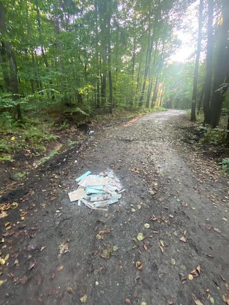  (kliknięcie spowoduje powiększenie obrazu)