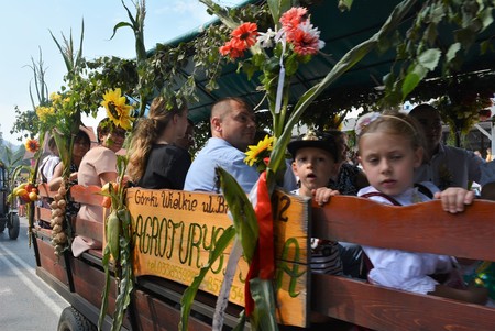  (kliknięcie spowoduje powiększenie obrazu)