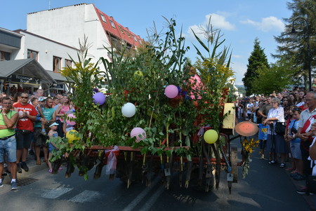  (kliknięcie spowoduje powiększenie obrazu)