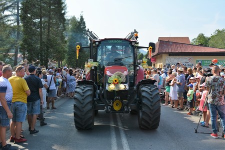  (kliknięcie spowoduje powiększenie obrazu)