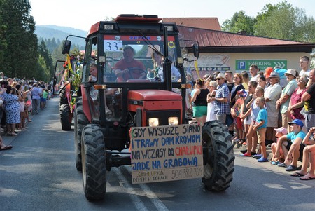  (kliknięcie spowoduje powiększenie obrazu)