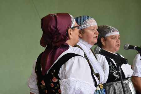  (kliknięcie spowoduje powiększenie obrazu)