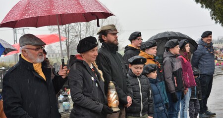  (kliknięcie spowoduje powiększenie obrazu)