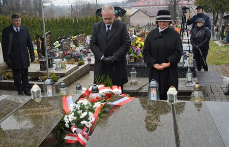  (kliknięcie spowoduje powiększenie obrazu)