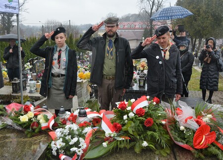  (kliknięcie spowoduje powiększenie obrazu)
