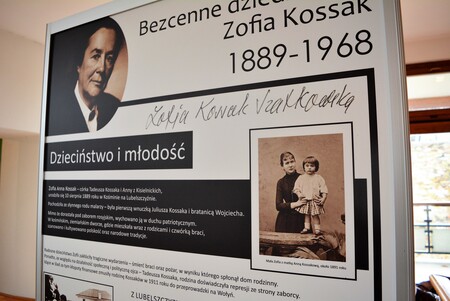  (kliknięcie spowoduje powiększenie obrazu)
