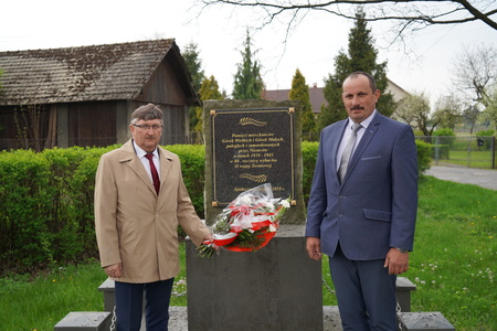  (kliknięcie spowoduje powiększenie obrazu)