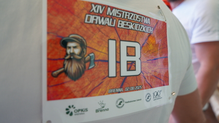 (kliknięcie spowoduje powiększenie obrazu)