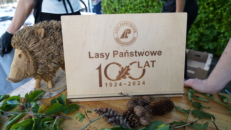  (kliknięcie spowoduje powiększenie obrazu)