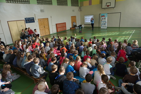  (kliknięcie spowoduje powiększenie obrazu)