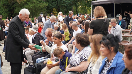  (kliknięcie spowoduje powiększenie obrazu)