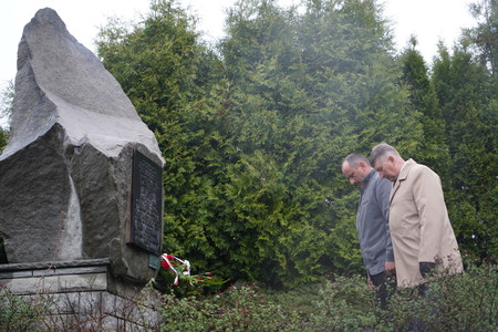  (kliknięcie spowoduje powiększenie obrazu)