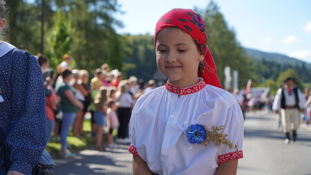  (kliknięcie spowoduje powiększenie obrazu)