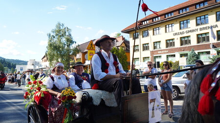  (kliknięcie spowoduje powiększenie obrazu)
