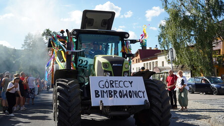  (kliknięcie spowoduje powiększenie obrazu)