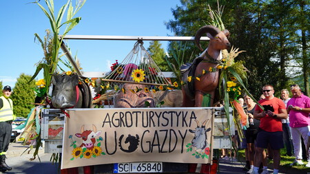  (kliknięcie spowoduje powiększenie obrazu)