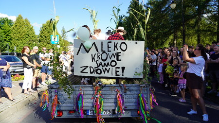  (kliknięcie spowoduje powiększenie obrazu)
