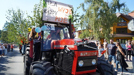  (kliknięcie spowoduje powiększenie obrazu)