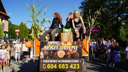  (kliknięcie spowoduje powiększenie obrazu)